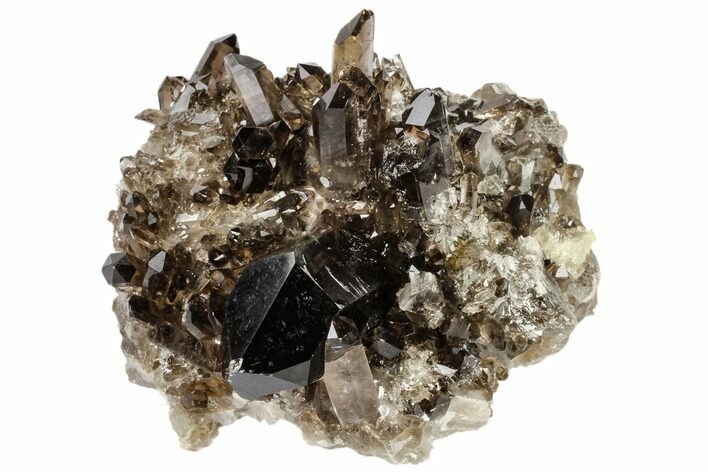 Dark Smoky Quartz Crystal Cluster - Brazil #119553